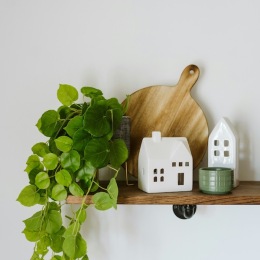a shelf with a plant and decor